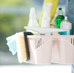 Home, cleaning and chemical products in a bucket for home care work and spring clean routine. Macro of cleaner with detergent spray, bottles and tools to scrub the interior of household.